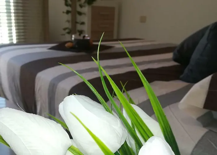 Privé Beautiful Duplex With Jacuzzi Villa Puerto Rico 