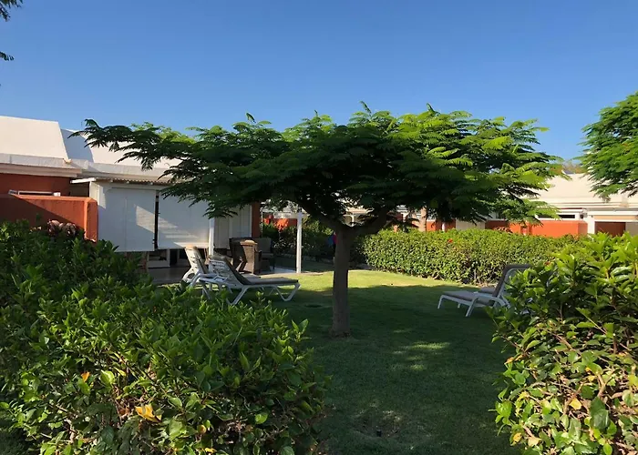 Holiday homes in Maspalomas (Gran Canaria)